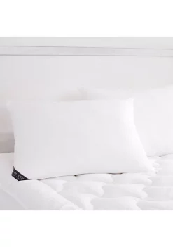 J. Queen New York Royalty 2 Pack Down Alternative Pillow -J. Queen New York Belk 256